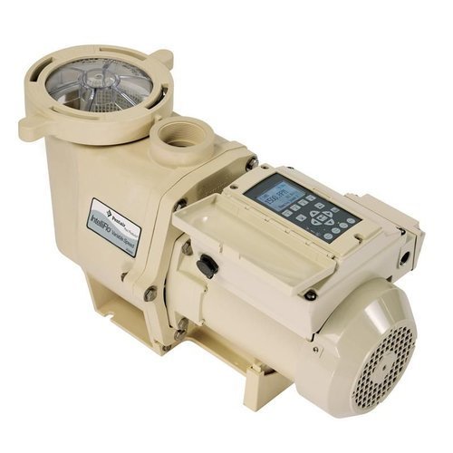 Pool and spa pumps